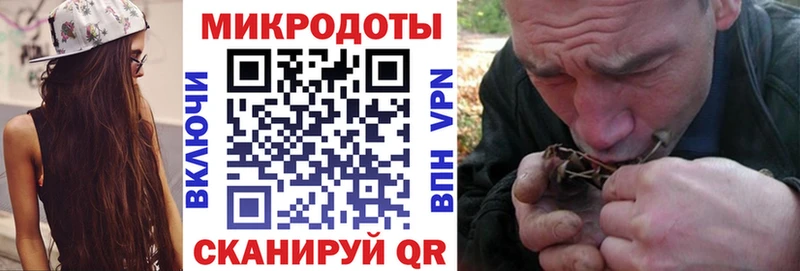Псилоцибиновые грибы MAGIC MUSHROOMS  Курчалой 